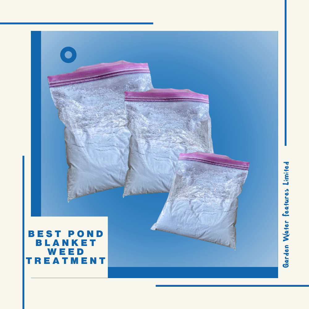 Best Pond Blanket Weed Treatment