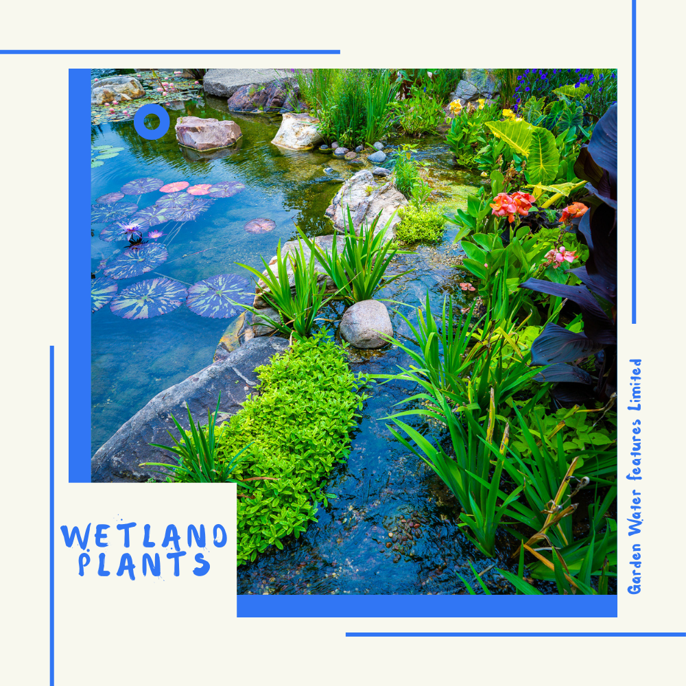 Large Snorkel and Cap - WaterFeature.Shop