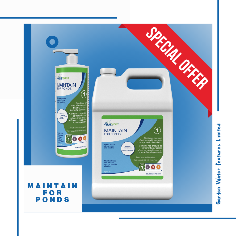 Maintain for Ponds