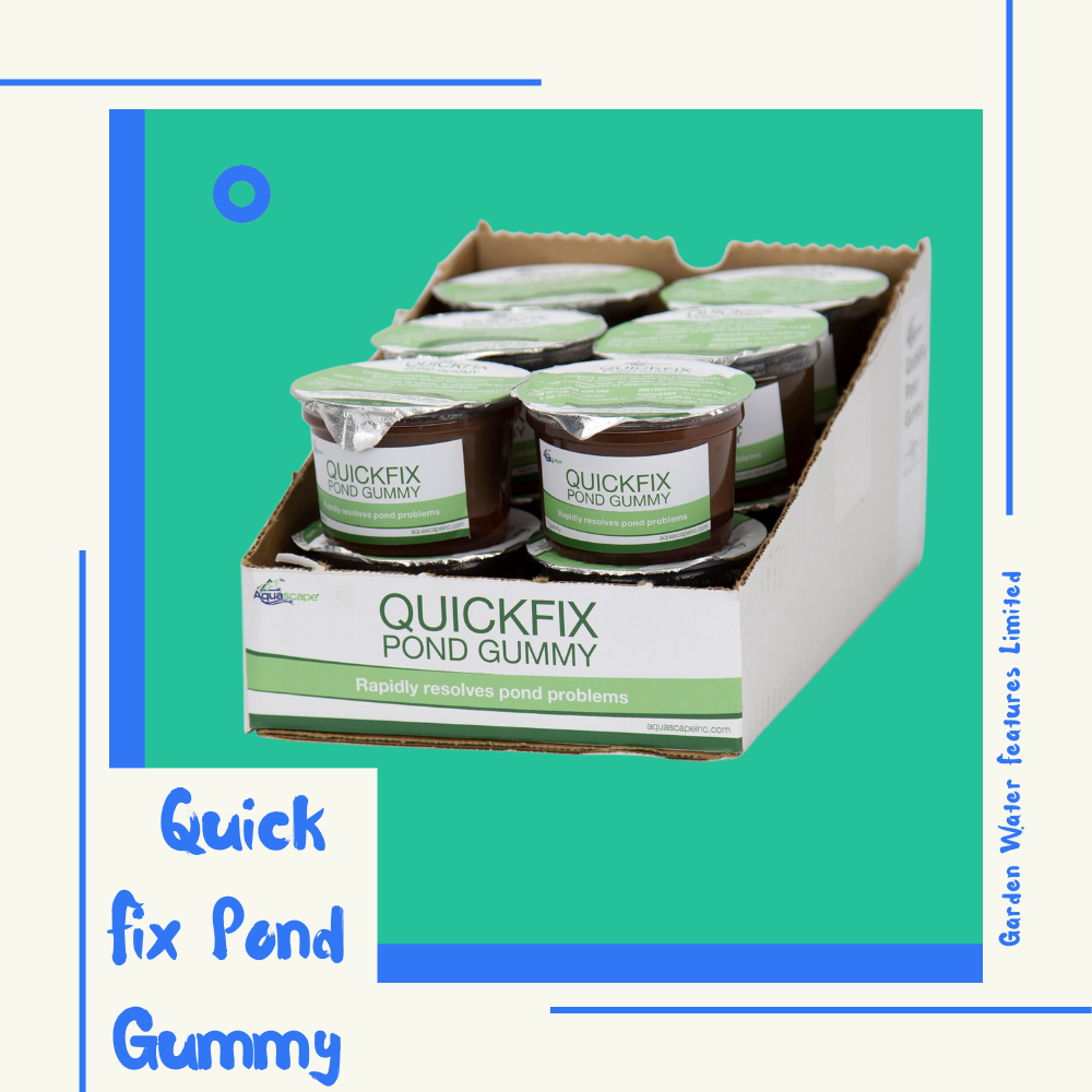 Quick Fix Pond Gummy - WaterFeature.Shop