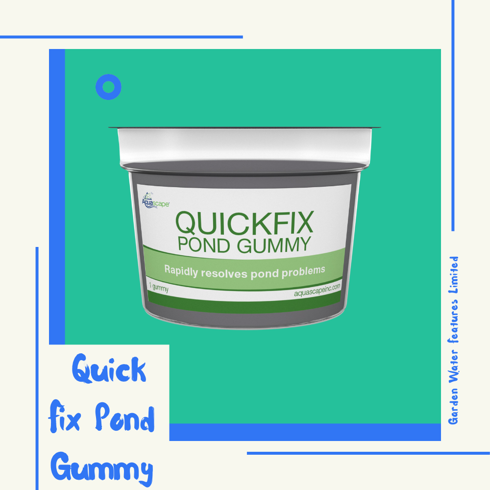 Quick Fix Pond Gummy - WaterFeature.Shop