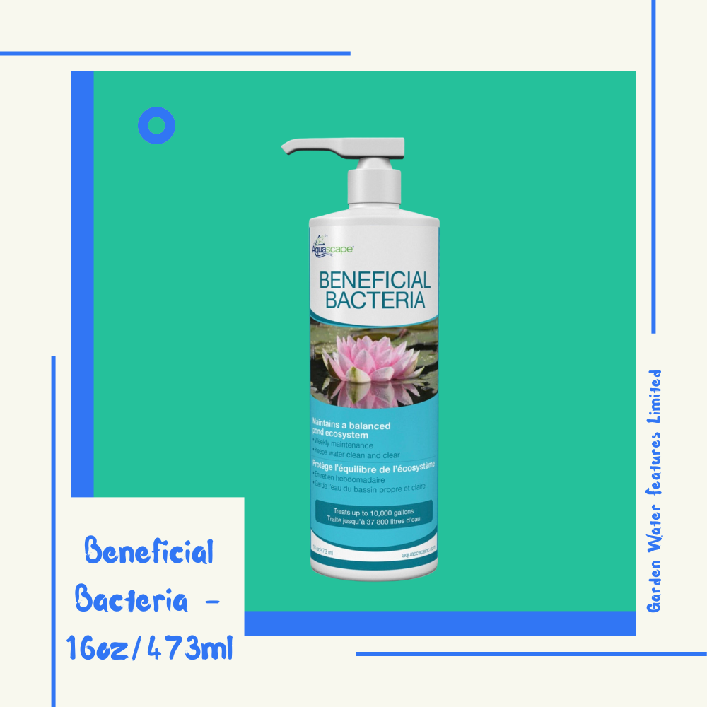 Beneficial Bacteria