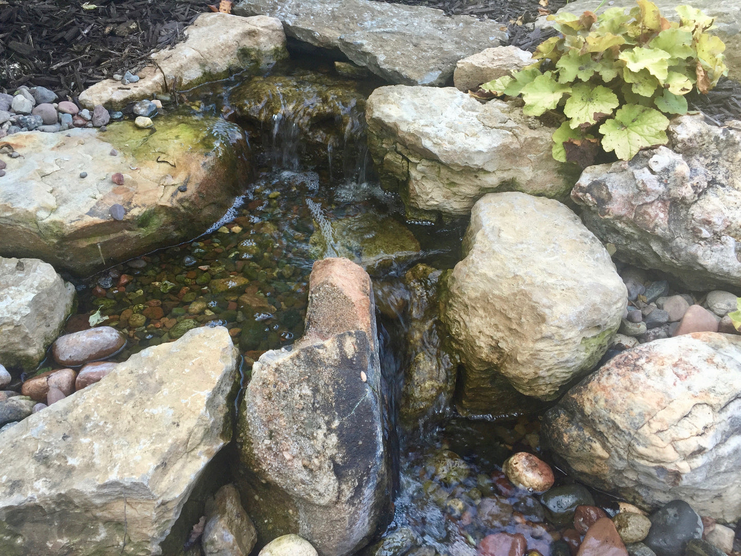 Mini Whispering Waterfall Kit - WaterFeature.Shop