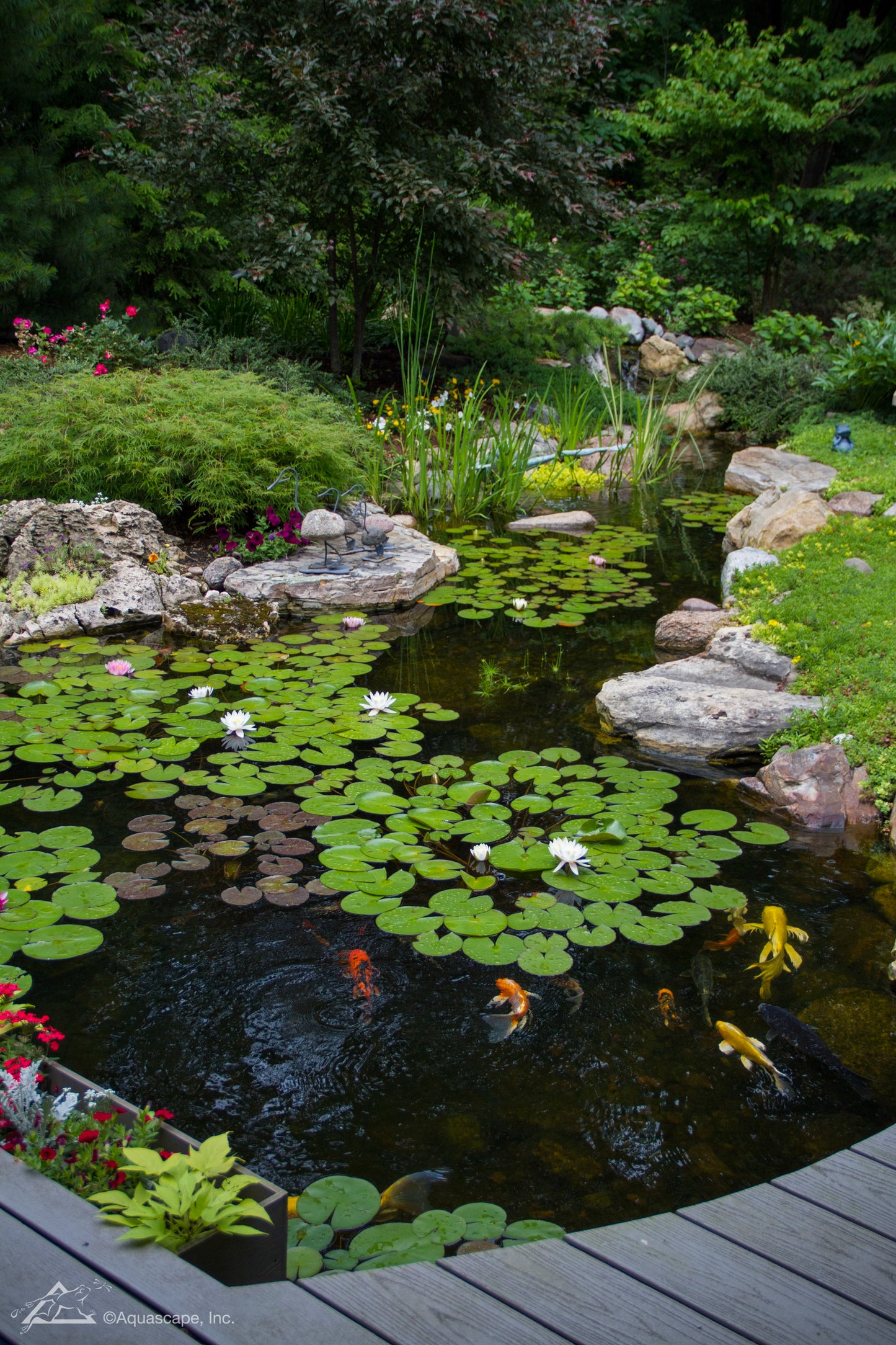 Large Ecosystem Pond - WaterFeature.Shop
