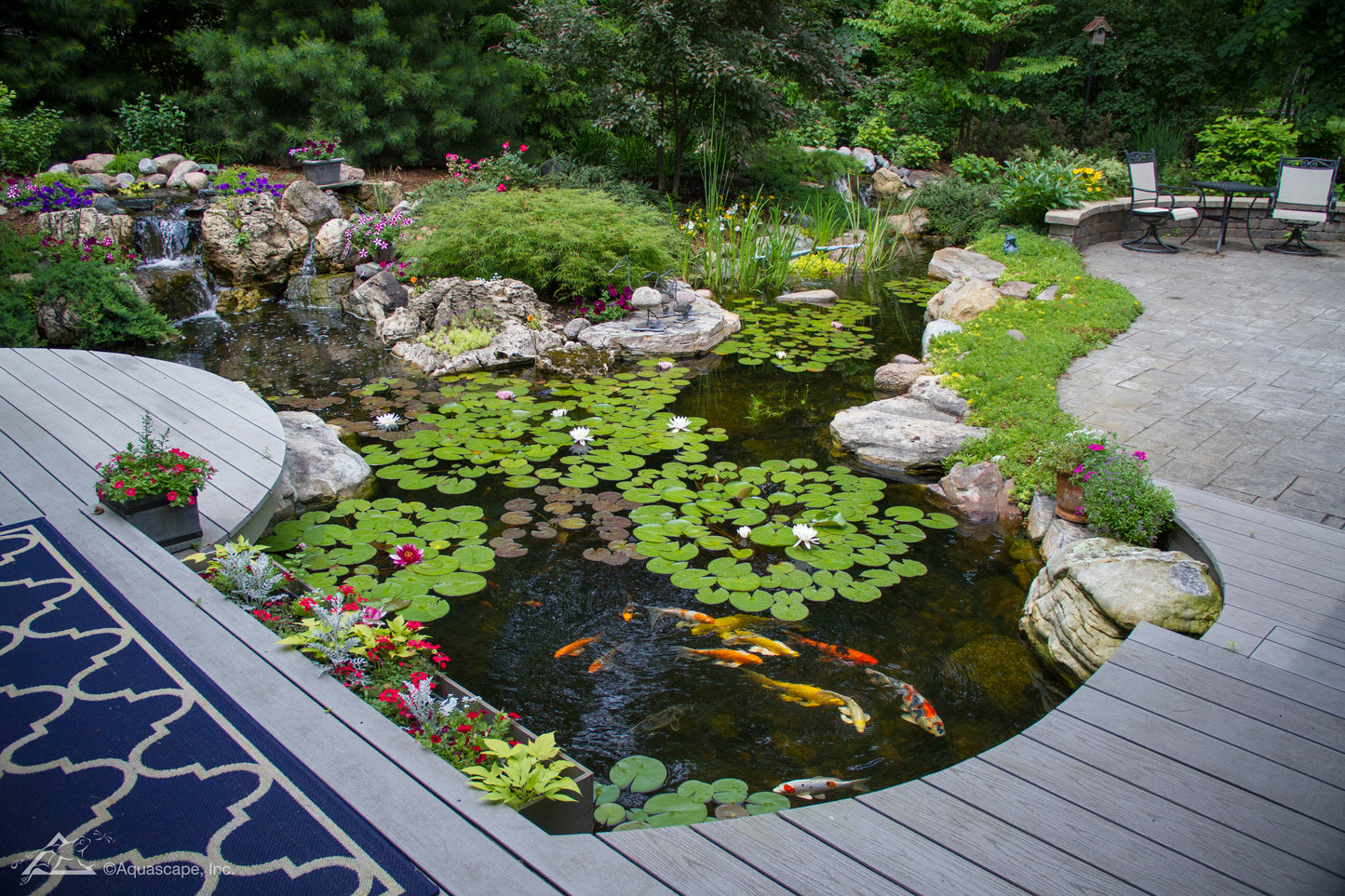 Large Pond Kit (Ecosystem) - WaterFeature.Shop