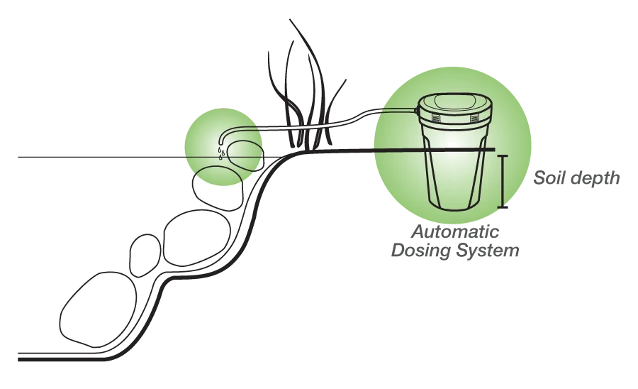 Automatic Dosing System for Water Features