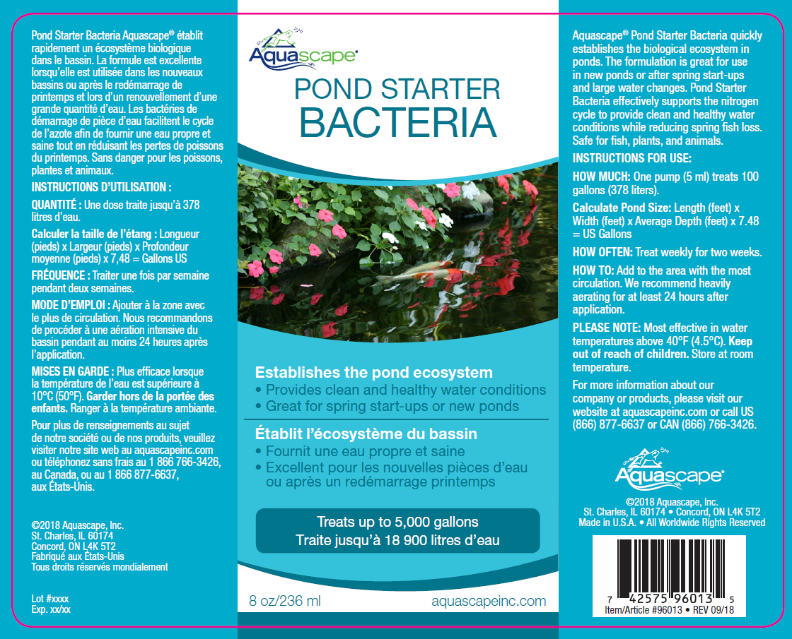 Fast-Acting Beneficial Bacteria for Ponds