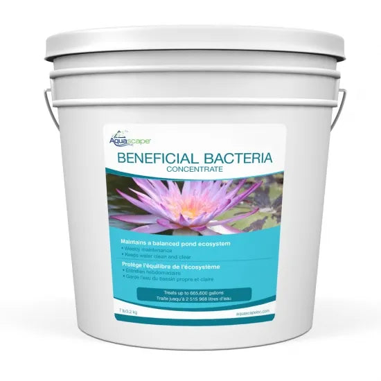 Beneficial Bacteria - Concentrate