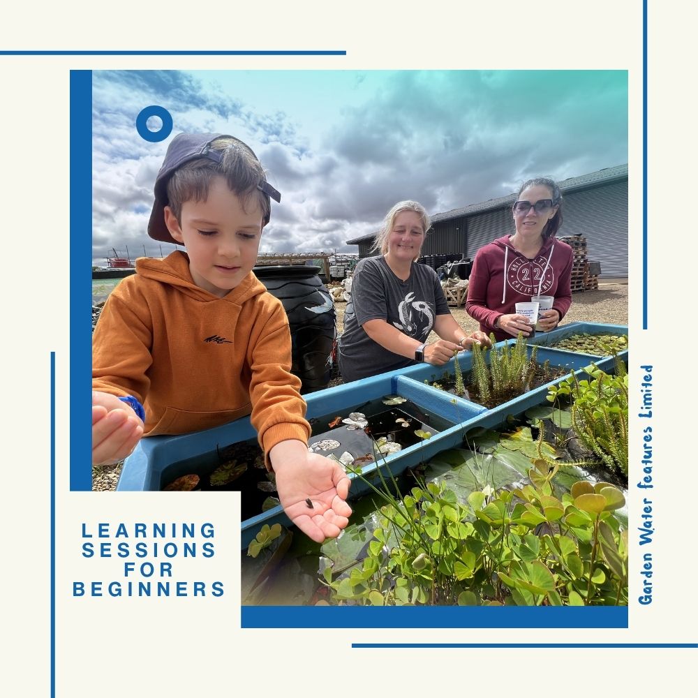 Foundation Workshops - WaterFeature.Shop