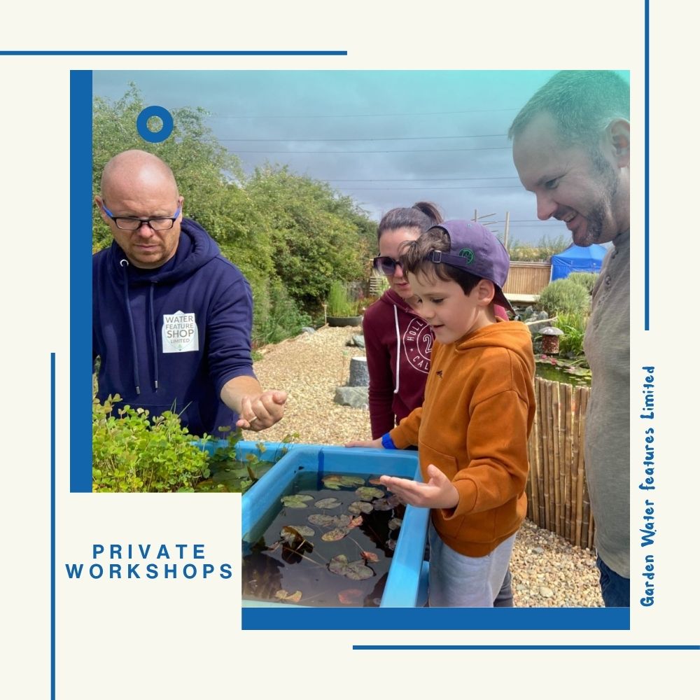 Private Pond Workshop - WaterFeature.Shop