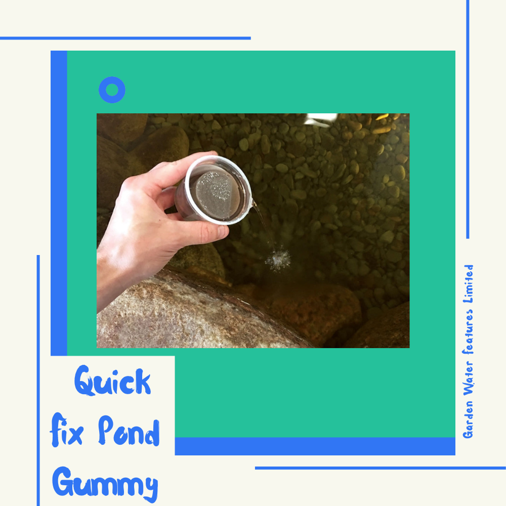 Quick Fix Pond Gummy - WaterFeature.Shop