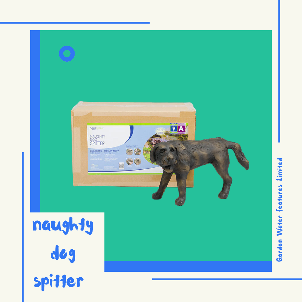 Naughty Dog Spitter - WaterFeature.Shop