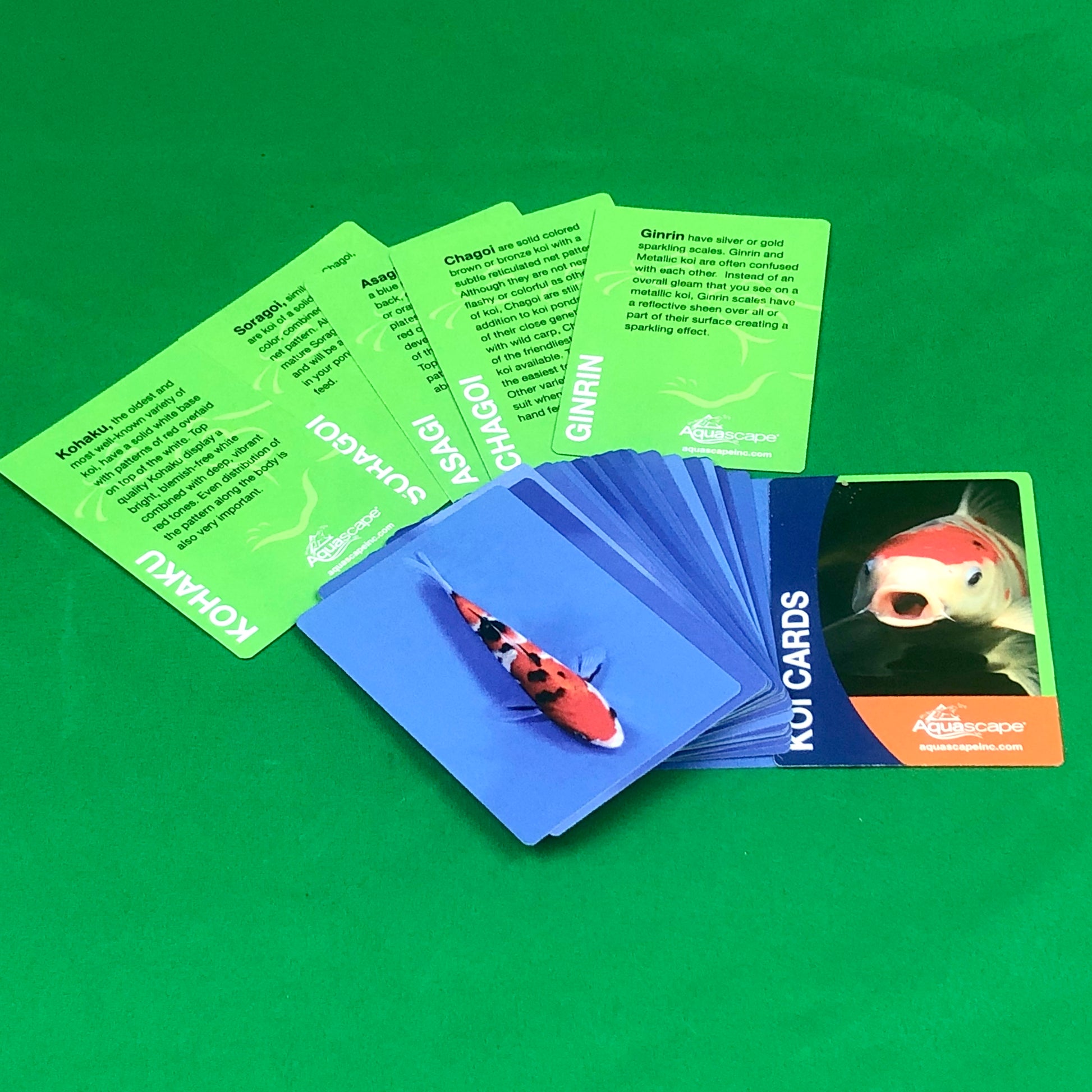 Aquascape UK Koi Cards - WaterFeature.Shop