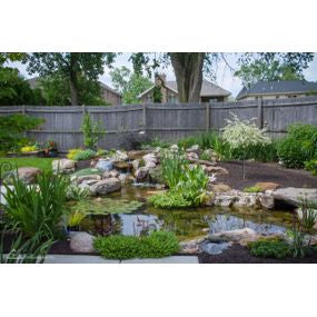 Medium Pond Kit (Ecosystem) - WaterFeature.Shop