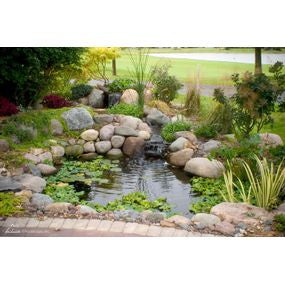 Micro Pond Kit - WaterFeature.Shop