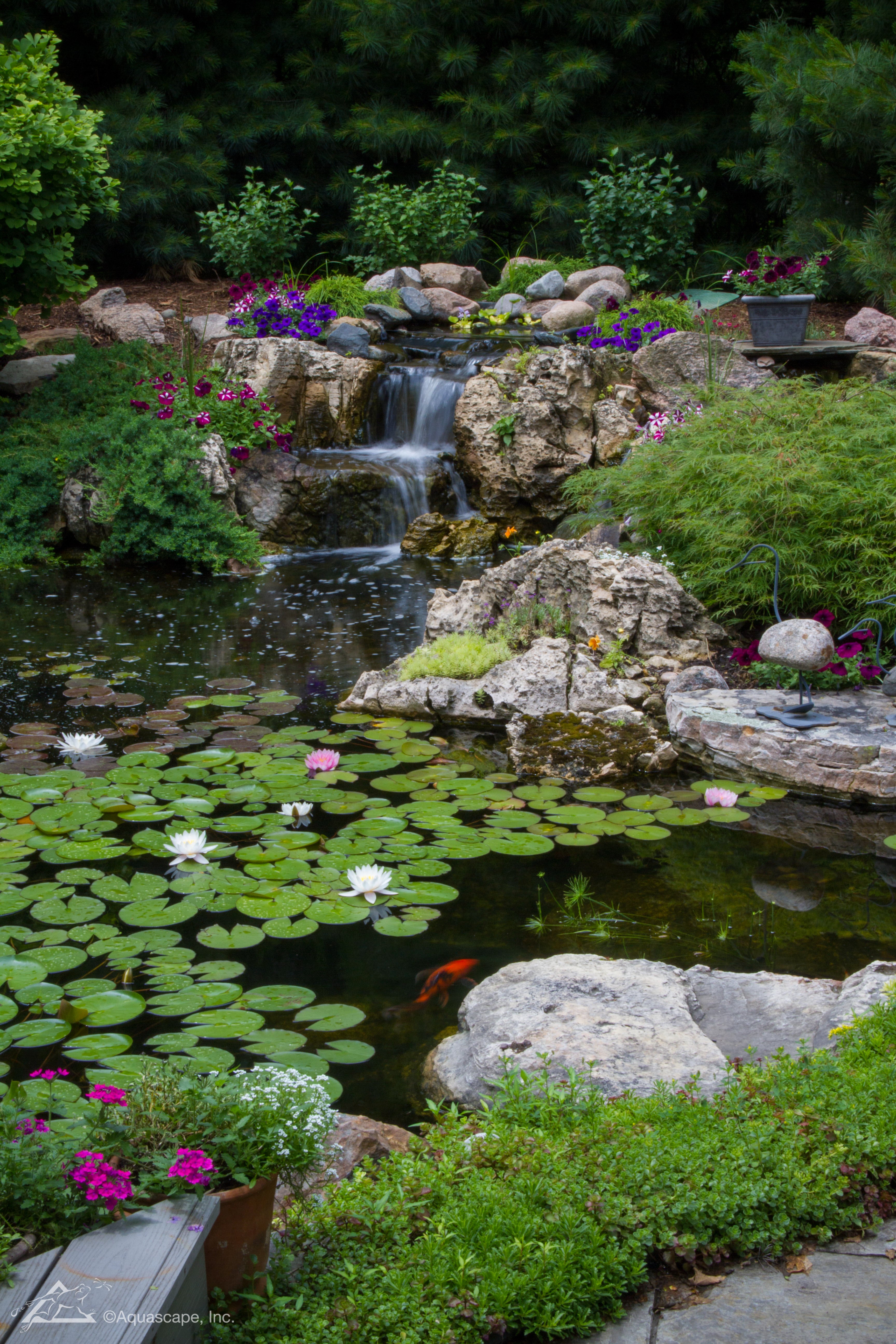 Large Pond Kit Ecosystem Pond