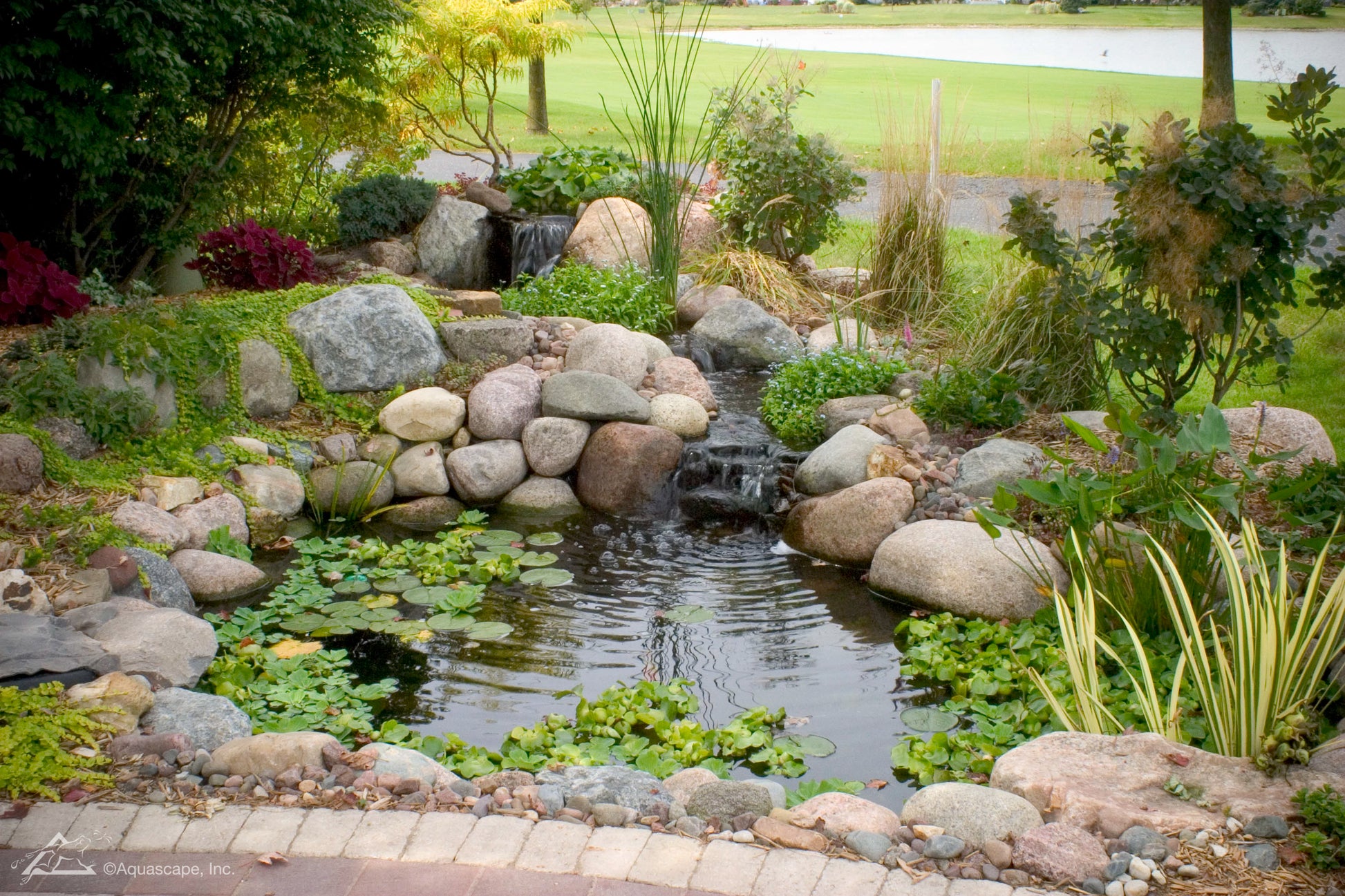 Small Pond Kit Ecosystem Aquascape Pond Kit UK Dealer small-pond-kit-ecosystem-aquascape-pond-kit-uk-dealer