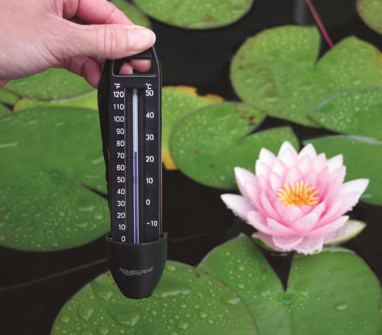 Pond Thermometer - Submersible - Seasonal Care - Aquascape -  UK - WaterFeature.Shop