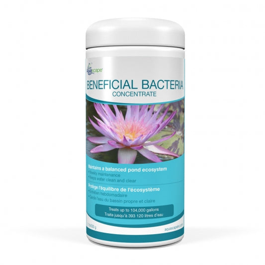 Beneficial Bacteria Concentrate - WaterFeature.Shop