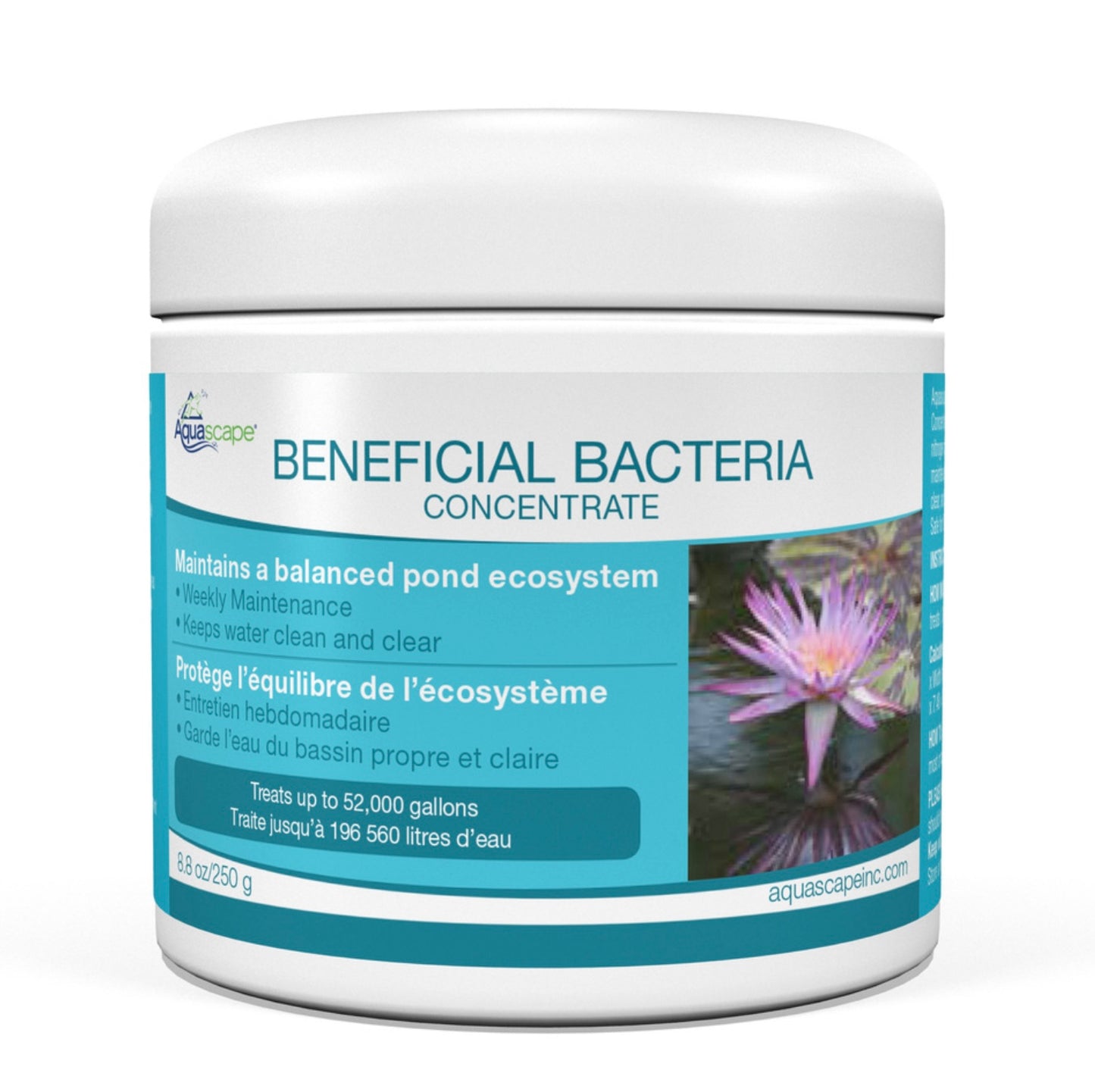 Beneficial Bacteria Concentrate - WaterFeature.Shop